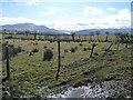 Fenced rough grazing, alongside the Threapland road in CA7 2JW