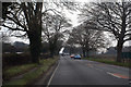 New Forest : Lyndhurst Road A35 in BH23 4NX