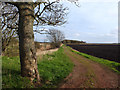 Path from Back Drain Bridge to Sluice Covert in PR9 8DQ