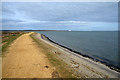 New Forest : Solent Way in SO41 8AE