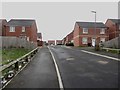 New housing development, Whitehill, Chester-le-Street in DH2 2PP
