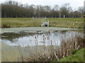 Pond at MOD Stafford in ST16 3NU