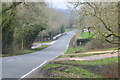 B3079, looking north from Upper Rowhill Farm in SO43 7JE