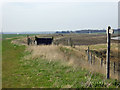 New sea wall by RSPB car park, Wallasea Island in SS4 2HD