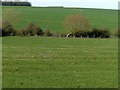 Ridge and furrow at Hamilton deserted village in Barkby Thorpe