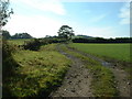 Farmtrack near Llangennech in SA14 8YB