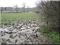 Wet and muddy field near to Nanscot Wood in HA5 3XU