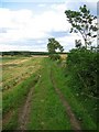 Footpath  to Bomarsund in NE22 7HR