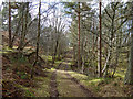 Track from Woodend to Tornagrain in IV2 5PT