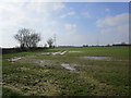 Waterlogged field near Sails Bridge in YO41 5PD