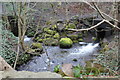 Confluence, Nant Cwm-parc in CF83 4HS
