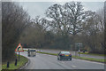 New Forest : The A31 in SO40 2LZ