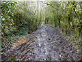 Path between hall Lane and Marsh Farm, Longton in PR4 5YL