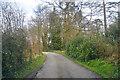 Mid Devon : Small Lane in EX18 7EY