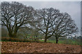 East Devon : Ploughed Field in EX14 3GB