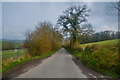 East Devon : Country Lane in EX14 4TJ
