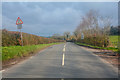 East Devon : Country Road in EX14 4TJ