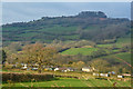 East Devon : Countryside Scenery in EX14 4TJ