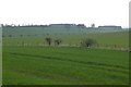 Looking across arable fields in Duddo