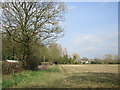 Stubble field and Manor Farm in YO41 5NZ