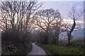 East Devon : Hayne Lane in EX14 3PD
