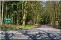 Entrance road to Humbly Grove Oilfield, Weston Common in GU34 5SU