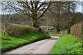 Lane near Upper Froyle in Froyle