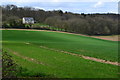 Stowell Copse and Cottage seen across field in Froyle