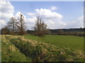 Field by the A413, Weedon Hill in HP7 0EJ