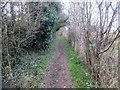 Footpath to Exwick Lane in EX4 2PN