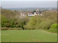 Looking down from Henley Wood in North Somerset