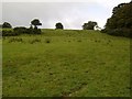 Rough moorland near Tullochan Farm in G83 8ND