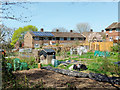 Allotments, Pound Hill, Crawley in RH10 7NF
