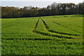 Tractor tracks in spring crop field in SO51 6FX