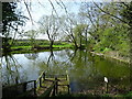Heath Top Pond in Foston (South Derbyshire)