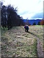 On Newtonmore's "Wildcat Trail" in PH20 1AR