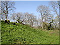 A Spring setting on the fort in North Somerset