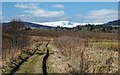 Track from Balconie Point to Evanton in IV16 9XG