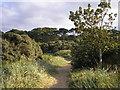 Footpath from the beach in EH32 0PW