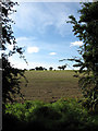 View SW across farmland in NR20 5HN