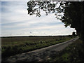 View SE across Bintree Road in Billingford