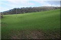 Farmland north of Reynolds Farm in WR6 6BS