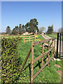 Farm entrance near Yapham Common in YO42 4AF