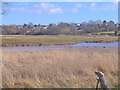 Fingringhoe from Roman River in High Park Corner