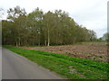 Woodland off Wellsyke Lane in LN10 6UX