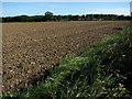View east across ploughed field in NR20 5NY