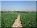 Footpath towards Kinsley in WF4 2HR