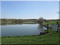 Fishing Lake at Hoyle Mill Dam in WF9 5LN