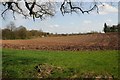 Farmland beside Hampton Wood in CV35 8AT