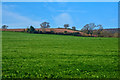 East Devon : Grassy Field in EX14 3LJ